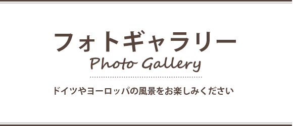 Photo Gallery